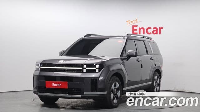 Hyundai Santa Fe 2024 — ფოტო 1/20