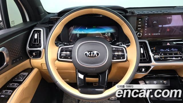 Kia Sorento 2020 — ფოტო 12/20
