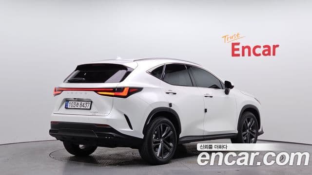 Lexus NX350h 2024 — ფოტო 2/20