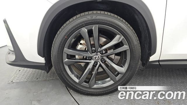 Lexus NX350h 2024 — ფოტო 5/20