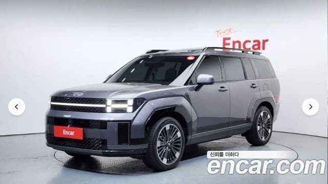Hyundai Santa Fe 2024 — ფოტო 10/20