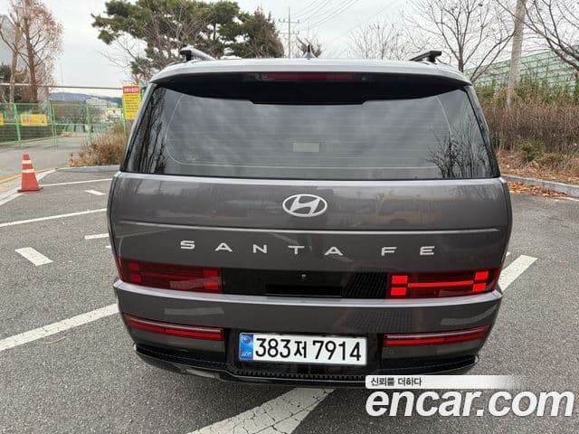 Hyundai Santa Fe 2024 — ფოტო 3/20