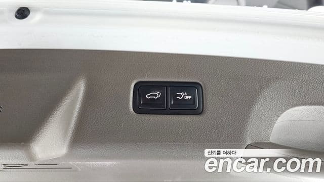 Kia Carnival 2021 — ფოტო 20/20