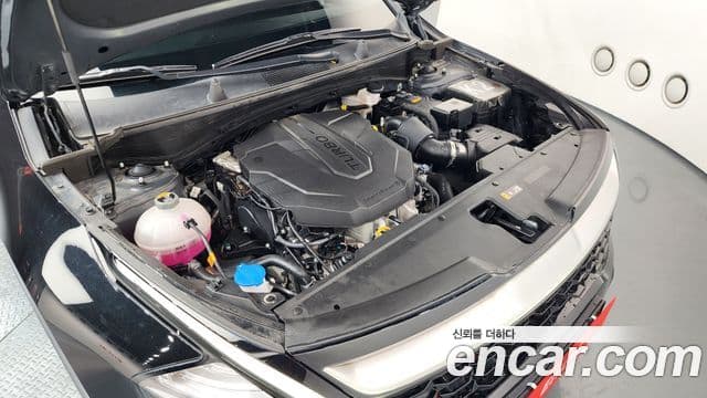Kia Sportage 2024 — Şəkil 6/20