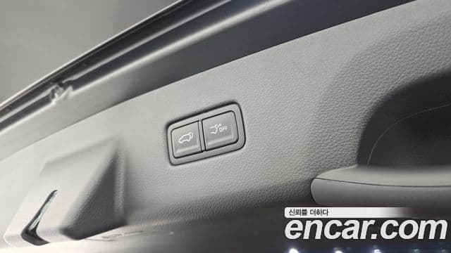 Kia Carnival 2022 — ფოტო 20/20