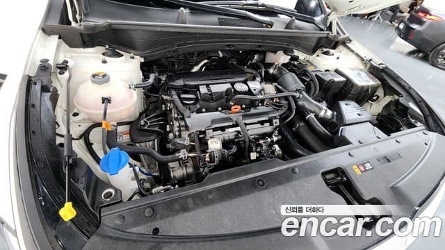 Kia Sportage 2022 — Şəkil 6/20