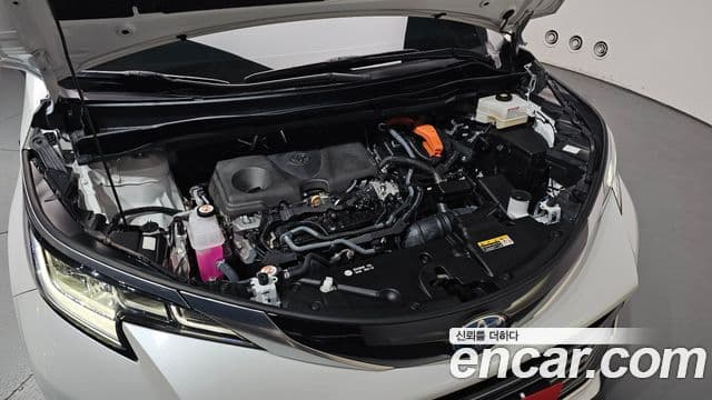 Toyota Sienna 2024 — ფოტო 6/20