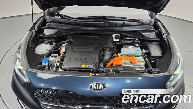 Kia Niro 2020 — Şəkil 6/20