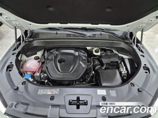 Renault Samsung Grand Koleos 2024 — ფოტო 4/20