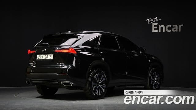 Lexus NX300 2018 — Şəkil 2/20