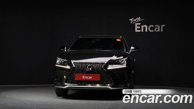 Lexus NX300 2018 — Şəkil 3/20