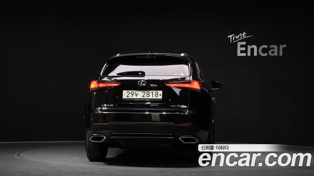 Lexus NX300 2018 — Şəkil 4/20