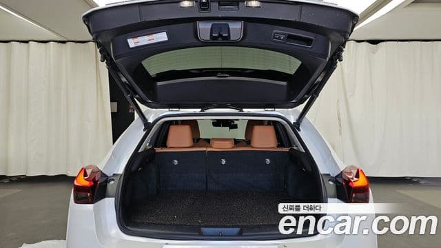 Lexus UX250h 2019 — Фото 20/20