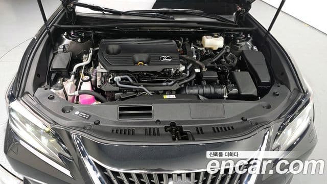 Lexus ES300h 2023 — ფოტო 6/20