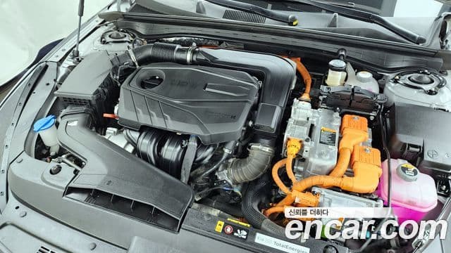 Kia K5 2024 — ფოტო 6/20