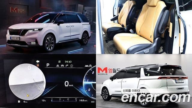 Kia Carnival 2021 — ფოტო 20/20