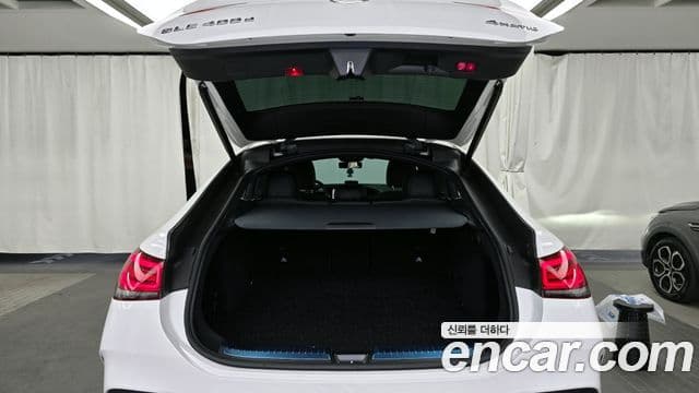 Mercedes-Benz GLE-Class 2021 — ფოტო 20/20