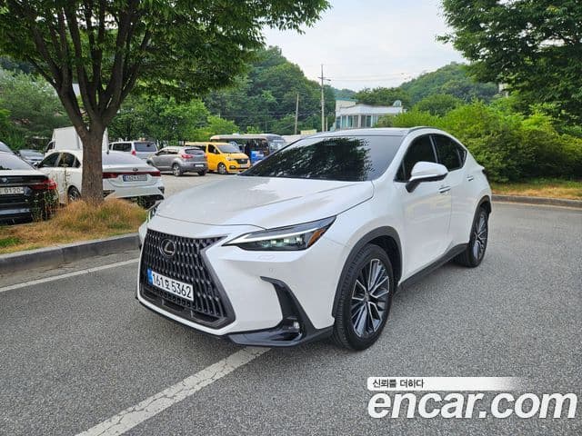 Lexus NX350h 2024 — Şəkil 10/15