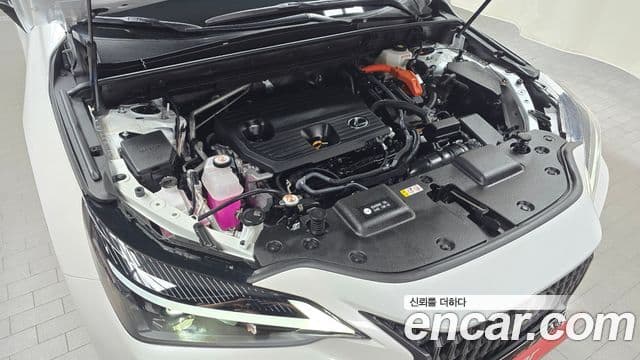 Lexus NX350h 2022 — Şəkil 6/20