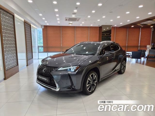 Lexus UX250h 2024 — Şəkil 15/15