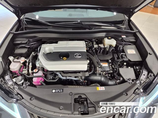 Lexus UX250h 2024 — Şəkil 5/15