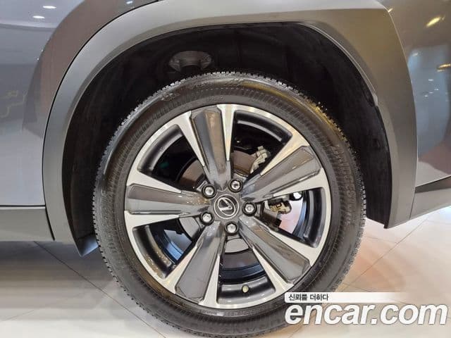 Lexus UX250h 2024 — Şəkil 6/15
