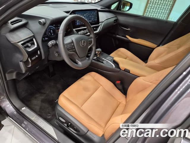 Lexus UX250h 2024 — Şəkil 11/15