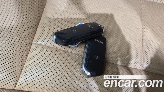 Kia The K9 2021 — ფოტო 19/20