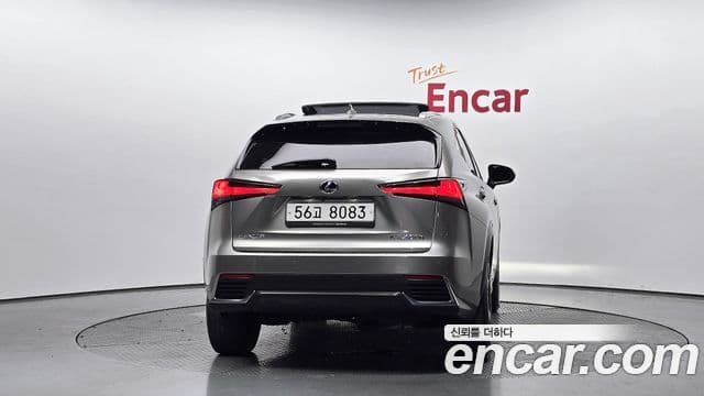 Lexus NX300h 2018 — Фото 4/20