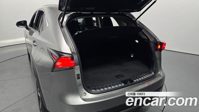 Lexus NX300h 2018 — Фото 19/20