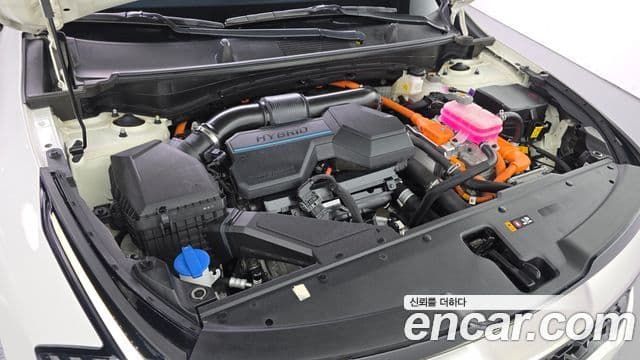 Kia Sportage 2021 — Şəkil 6/20