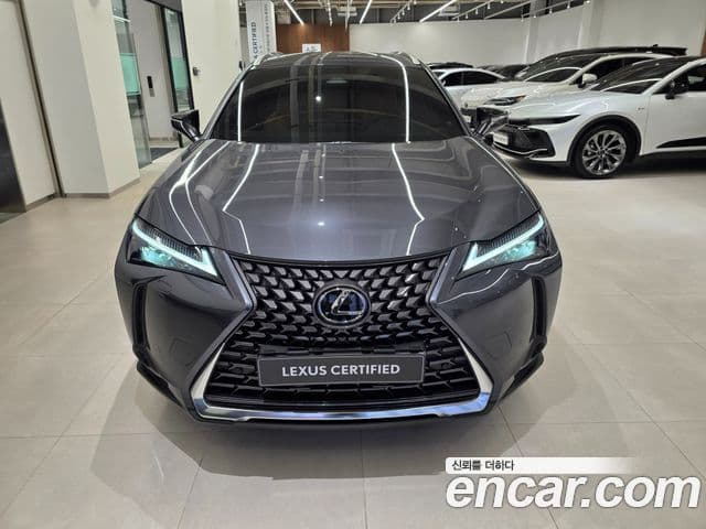 Lexus UX300h 2025 — ფოტო 2/15
