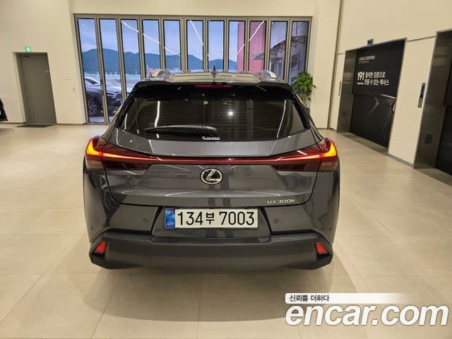 Lexus UX300h 2025 — ფოტო 3/15
