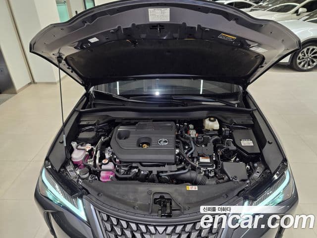 Lexus UX300h 2025 — ფოტო 5/15
