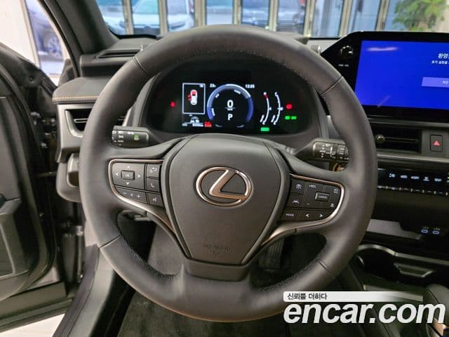 Lexus UX300h 2025 — ფოტო 12/15