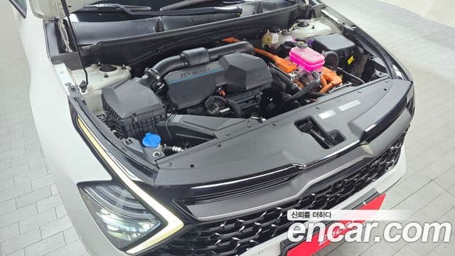 Kia Sportage 2022 — Şəkil 6/20