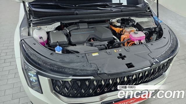 Kia Carnival 2024 — ფოტო 6/20
