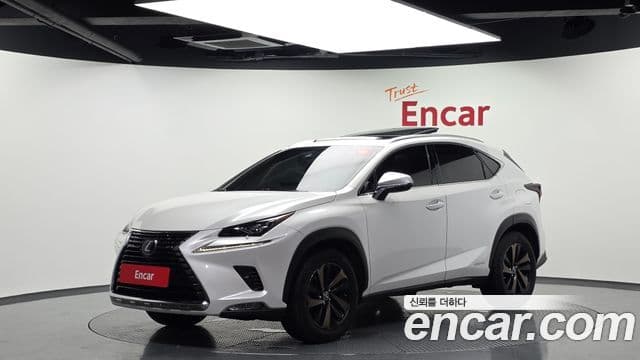 Lexus NX300h 2019 — Şəkil 10/20