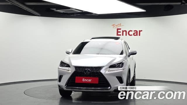 Lexus NX300h 2019 — Şəkil 2/20
