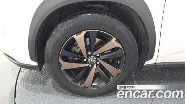 Lexus NX300h 2019 — Şəkil 4/20