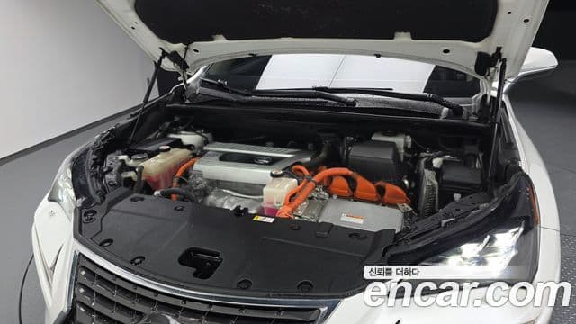 Lexus NX300h 2019 — Şəkil 5/20