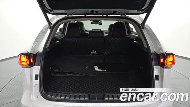 Lexus NX300h 2019 — Şəkil 19/20