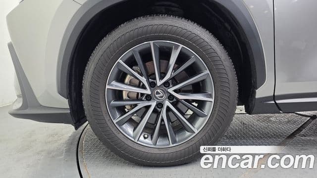 Lexus NX450h+ 2023 — ფოტო 5/20