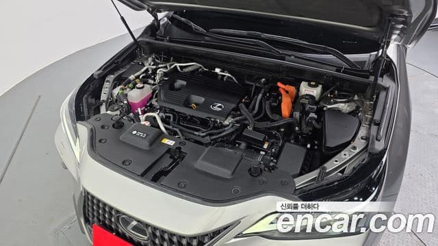 Lexus NX450h+ 2023 — ფოტო 6/20