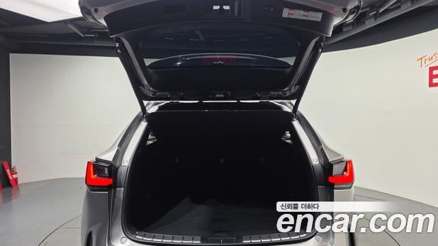 Lexus NX450h+ 2023 — ფოტო 20/20