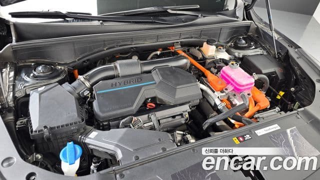 Kia Sorento 2025 — фото 6 из 20
