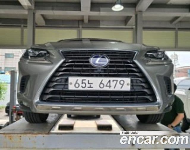Lexus NX300h 2019 — ფოტო 2/2