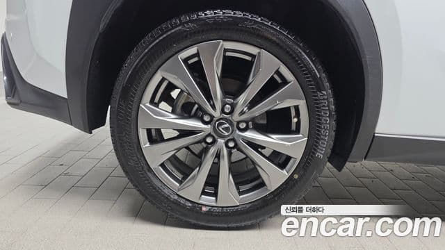 Lexus UX250h 2023 — ფოტო 5/20