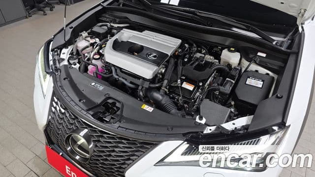 Lexus UX250h 2023 — фото 6 из 20
