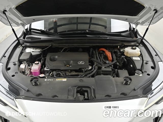 Lexus RX350h 2024 — ფოტო 5/20